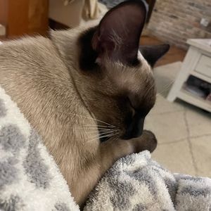 Meet your Posher, Danni